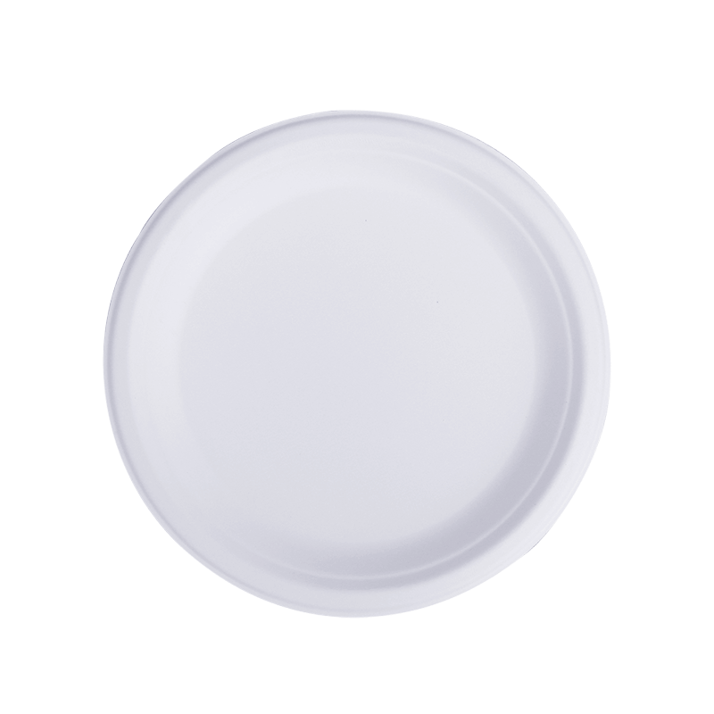 Bagasse Plate